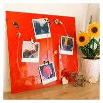 Câble porte photos et magnets - Magnetic Cable