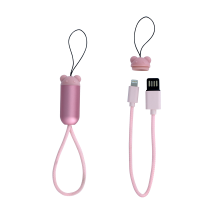 Câble pour iPhone - Mini Connectech