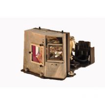 Acer Beamerlampe fr EC.J0901.001