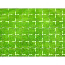 Precision Pro Football Goal Nets 4Mm Braided (pair) (white, 12' X 6')