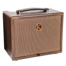 Kinsman 45W Acoustic Amplifier Ac&#47;Battery Power