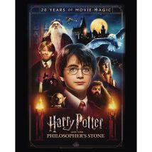 Harry Potter (20 Years Of Movie Magic) 40x50 Canvas