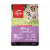 Orijen Kitten