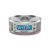 Farmina Vet-Life Feline Formula Hepatic Umido