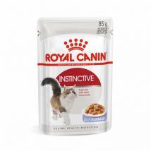 Royal Canin Instinctive Jelly Gatto Busta