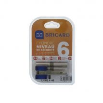Bricard BRICARD CHIFRAL S2 17471 Cylindre 40+40 mm double entrée nickelé niveau de sécurité 6  Beige