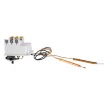 Thermostat BTS 270 à 2 bulbes + kit - Thermostat BTS 270 à 2 bulbes + kit