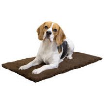 DRYPLACE-gezondheidsdeken