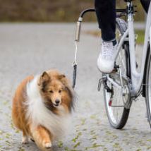 Fietsbeugel 'Biker'