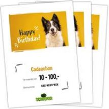 Cadeaubon om te printen, Happy Bithday!