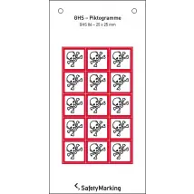 GHS-Gefahrenpiktogramm »Symbol 06: Totenkopf«