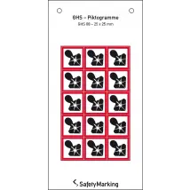 GHS-Gefahrenpiktogramm »Symbol 08: Gesundheitsgefahr«
