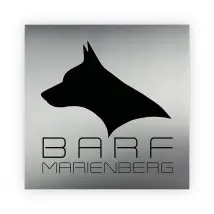 Firmenlogo aus Edelstahl mit Acryl und Farbe zur Auswahl 50 x 50 cm