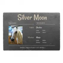 Boxenschild für Ihr Pferd aus Schiefer mit Foto 30 x 20 cm