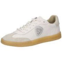 Blauer USA Sneaker Damen weiß