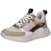 Bullboxer Sneaker Damen beige|beige|beige|beige|beige