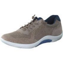 Lloyd Adamson Sneaker Herren beige|beige|beige