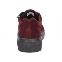 legero bordeaux 37