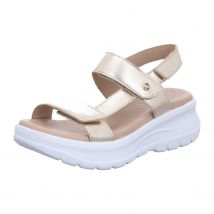 - Noor - 290-91-00006 40