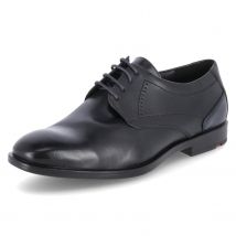 Lloyd schwarz 8,5