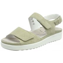 Semler B4015 rost 7,5