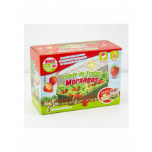 Estufa de Frutas Morangos | Brinquedos para Crianças 6+ | Science4you Loja Online