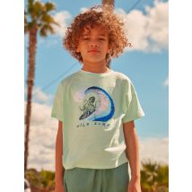 Tee Shirt Manches Courtes Vert - 4A - Sergent Major