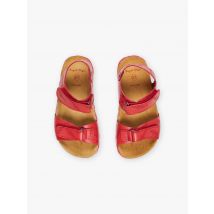 Sandales Rouges Motif Requins En Cuir - 31 - Sergent Major