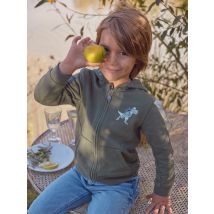 Gilet À Capuche Dinosaure - 4 ans - Sergent Major