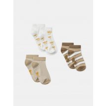 Lot De 3 Chaussettes Basses - 2326 - Sergent Major