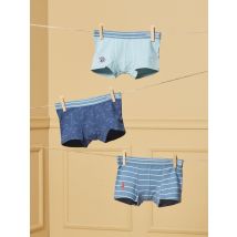 Lot De 3 Boxers Dino - 6 ans - Garçon - Sergent Major
