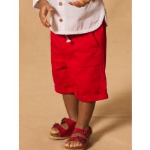 Red Bermuda - 24M - Sergent Major