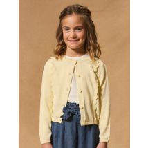 Yellow Cardigan - 11A - Sergent Major