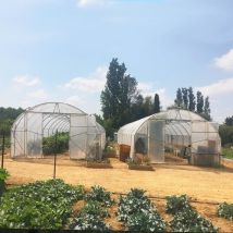 Serre de Jardin à Bords Droits robuste Ø 40 - 112.50m2 - 5m x 22,50m