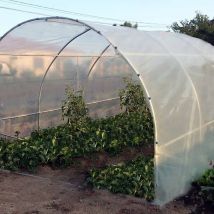 Serre de jardin Resist Eco Ø 25 - Forme tunnel - 3 x 3m (9m2)