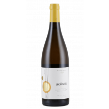 Acustic Celler Acustic Blanc 2023