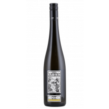 Bernhard Ott Grüner Veltliner am Berg 2024
