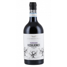 Colomba Bianca Resilience Perricone Sicilia 2024