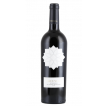 Creencia con Juventud 2021