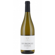 Domaine Vincent Cocherel Bourgogne Chardonnay 2023