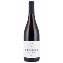 Domaine Vincent Cocherel Bourgogne Pinot Noir 2023