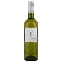 Domaine la Colombette Plume Chardonnay 2024