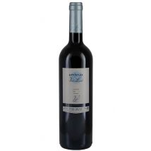 Magnum (1,5 L) Embruix de Vall Llach 2022 in 1er OHK