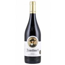 Faustino V Reserva 2019