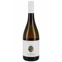 Klein Grauburgunder vom Kalkmergel trocken 2025