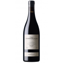 Mas Martinet Cami Pesseroles 2021