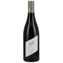 Pfaffl Grüner Veltliner Reserve Golden 2024
