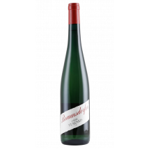 Stagard Riesling Steiner Braundorfer 2021