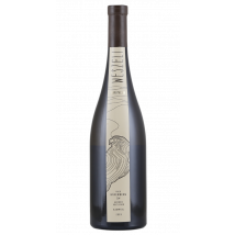 Weszeli Ried Käferberg Erste Lage Kamptal Grüner Veltliner 2019