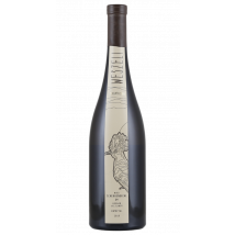Weszeli Ried Schenkenbichl Erste Lage Kamptal Grüner Veltliner 2019